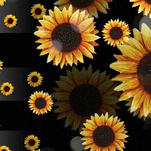 Meet your Posher, Stepanie